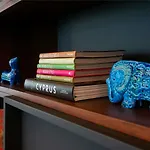 Hotel Mercure Larnaca Sazlikoy