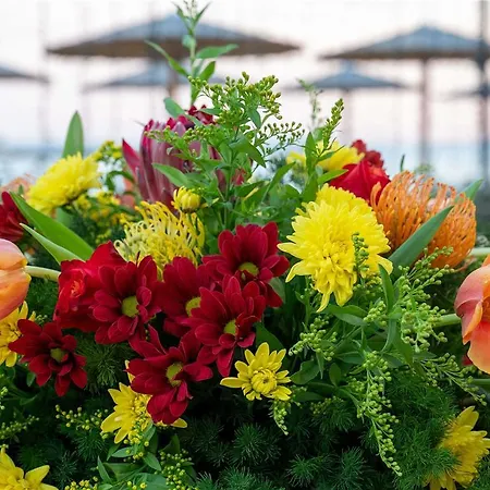 Mercure Larnaca Hotel